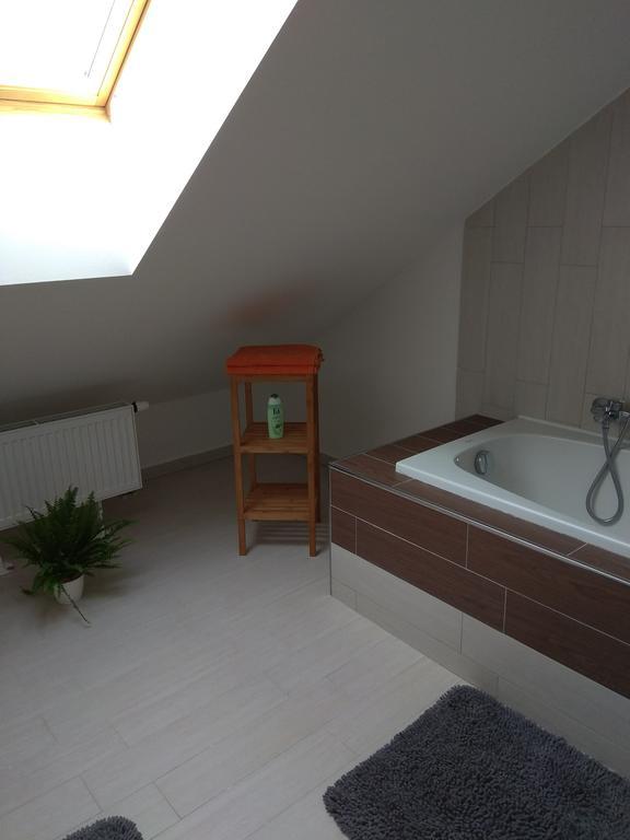 Apartmany Pod Lesem Bohutín Εξωτερικό φωτογραφία