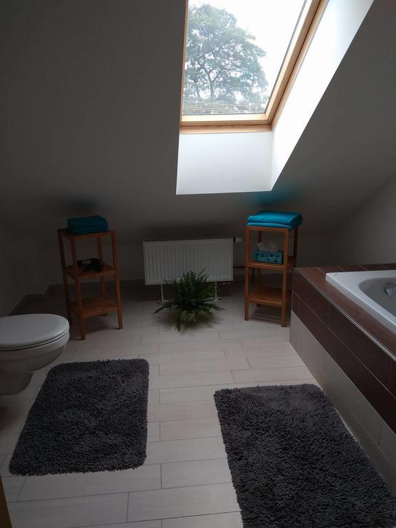 Apartmany Pod Lesem Bohutín Εξωτερικό φωτογραφία